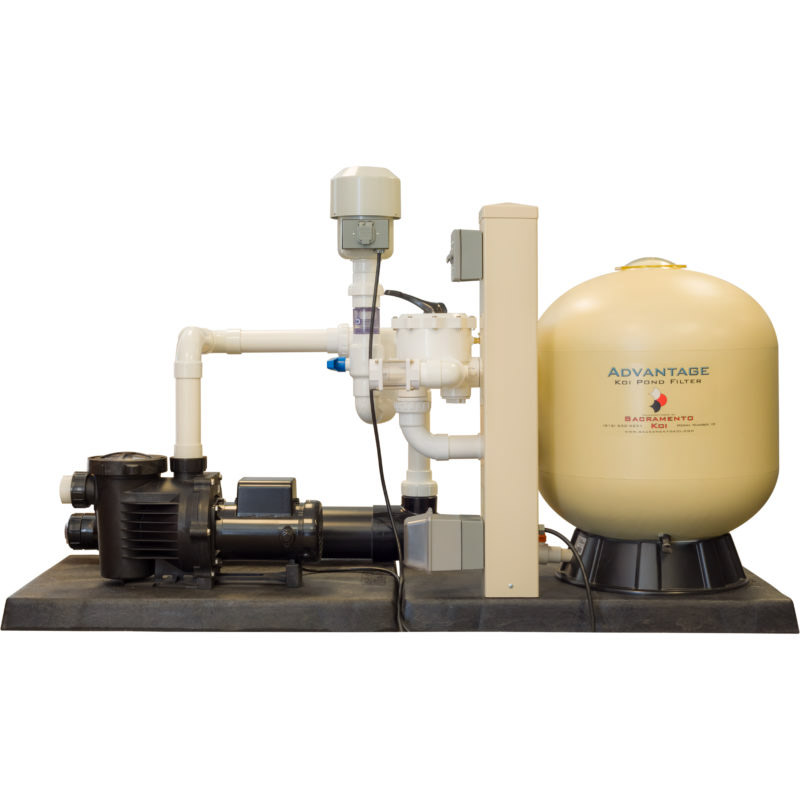 Plug and Play Systems Sacramento Koi