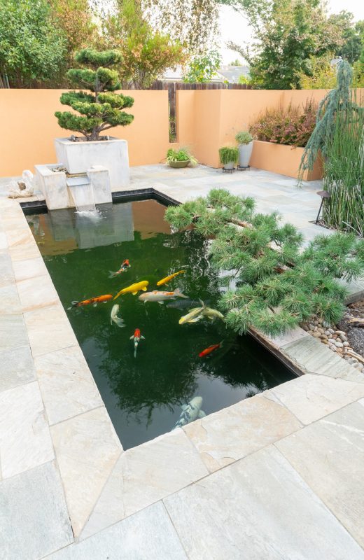 raised koi pond design